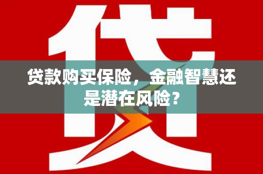全南贷款购买保险，金融智慧还是潜在风险？