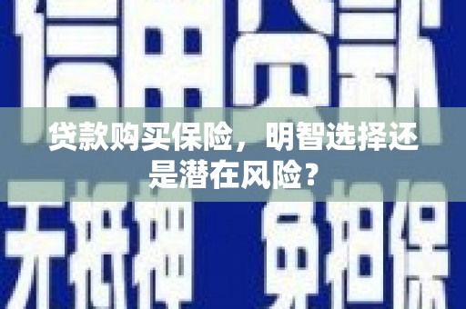 柳东贷款购买保险，明智选择还是潜在风险？