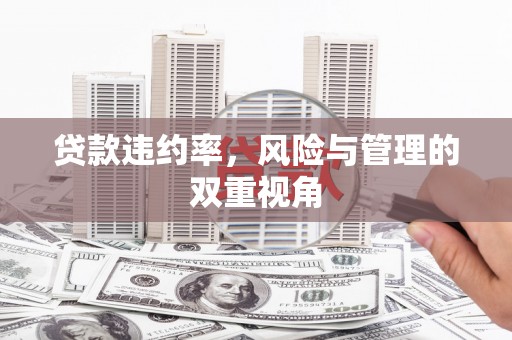 杂多贷款违约率，风险与管理的双重视角
