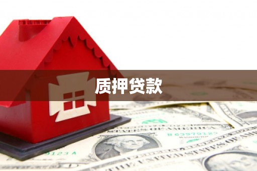 沙湾质押贷款