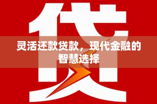 中正灵活还款贷款，现代金融的智慧选择