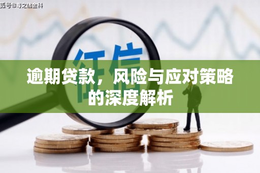 金湖逾期贷款，风险与应对策略的深度解析