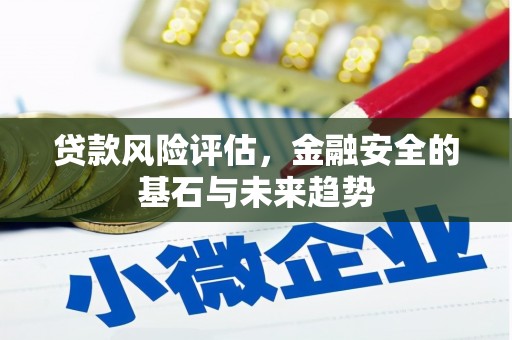 旅顺口贷款风险评估，金融安全的基石与未来趋势