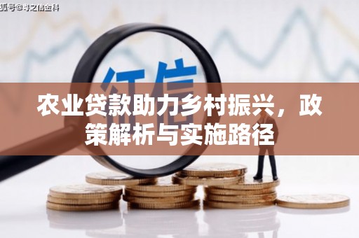 通道农业贷款助力乡村振兴，政策解析与实施路径
