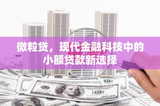 林芝微粒贷，现代金融科技中的小额贷款新选择