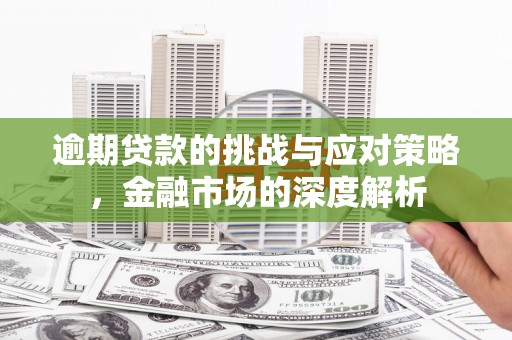 扶绥逾期贷款的挑战与应对策略，金融市场的深度解析