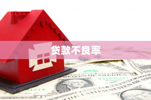 阜新贷款不良率