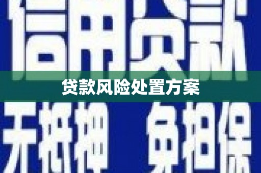 钢城贷款风险处置方案