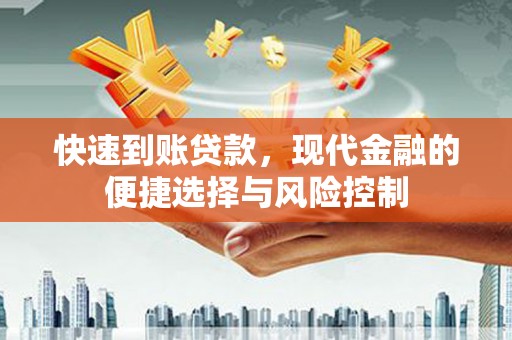 林园快速到账贷款，现代金融的便捷选择与风险控制