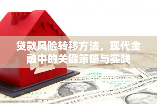 定兴贷款风险转移方法，现代金融中的关键策略与实践