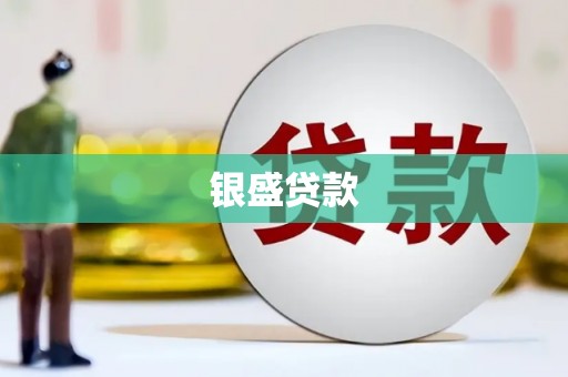 天元银盛贷款