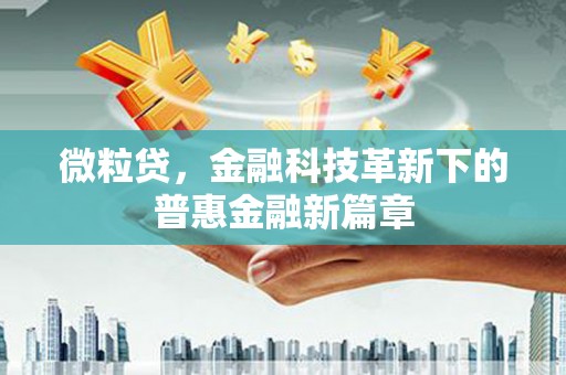里港微粒贷，金融科技革新下的普惠金融新篇章