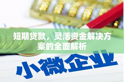 延津短期贷款，灵活资金解决方案的全面解析