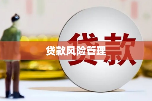南涧贷款风险管理