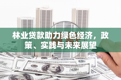 岑巩林业贷款助力绿色经济，政策、实践与未来展望