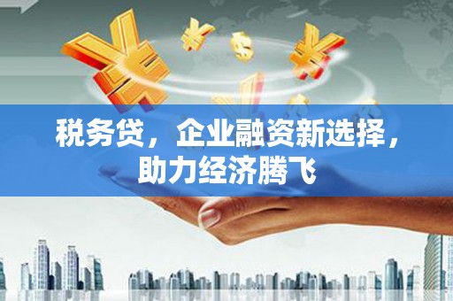 曾都税务贷，企业融资新选择，助力经济腾飞