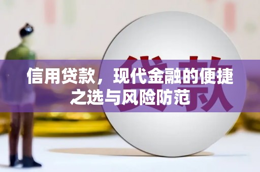 隆阳信用贷款，现代金融的便捷之选与风险防范