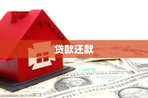 西林贷款还款