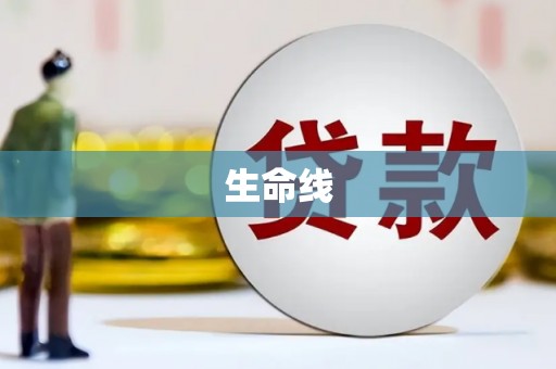 府谷生命线