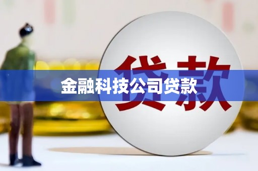 玉山金融科技公司贷款