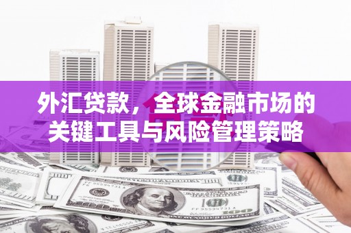 三亚外汇贷款，全球金融市场的关键工具与风险管理策略