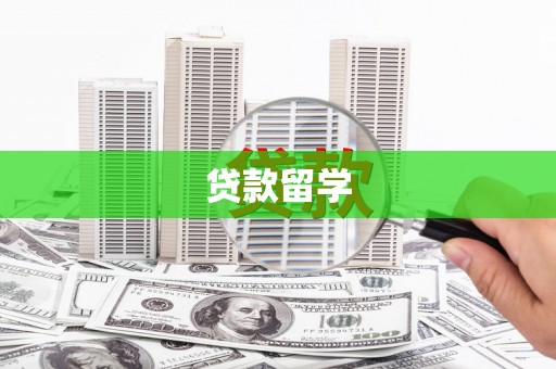 善化贷款留学