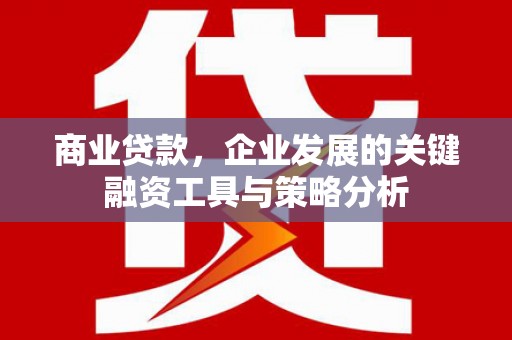 顺昌商业贷款，企业发展的关键融资工具与策略分析