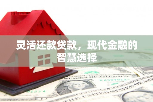 湾仔区灵活还款贷款，现代金融的智慧选择