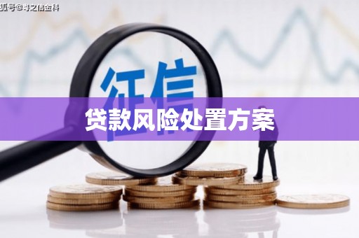 秀山贷款风险处置方案