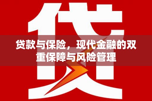 东宝贷款与保险，现代金融的双重保障与风险管理