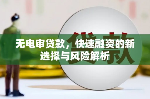 连平无电审贷款，快速融资的新选择与风险解析