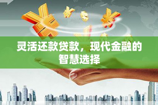 商南灵活还款贷款，现代金融的智慧选择