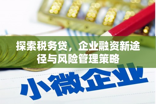 西林探索税务贷，企业融资新途径与风险管理策略