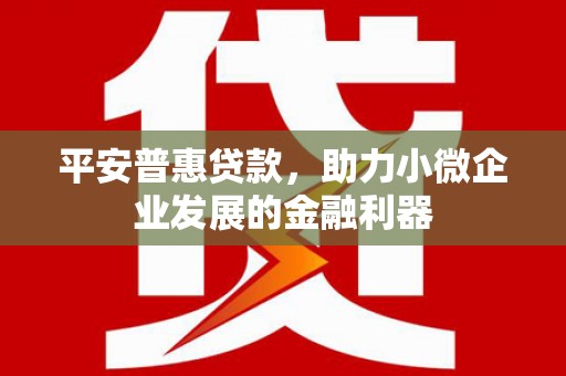 山西平安普惠贷款，助力小微企业发展的金融利器