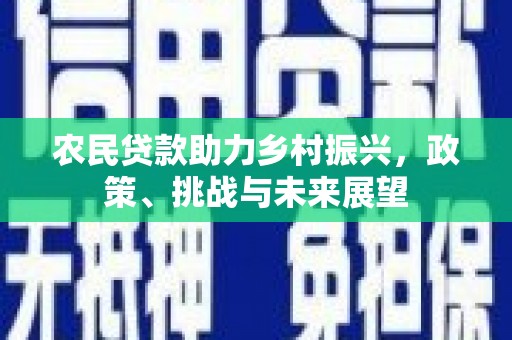 洛宁农民贷款助力乡村振兴，政策、挑战与未来展望