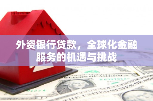 丹徒外资银行贷款，全球化金融服务的机遇与挑战