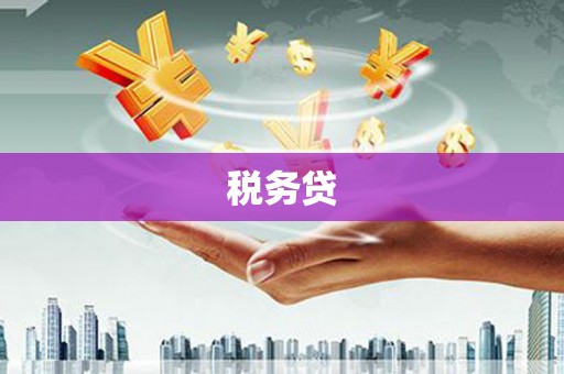 镇赉税务贷