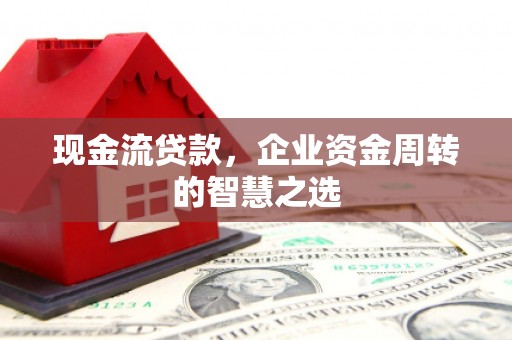 狮子现金流贷款，企业资金周转的智慧之选