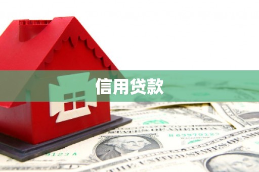 资中信用贷款