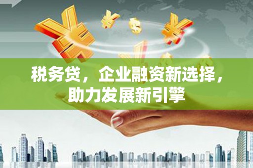 中卫税务贷，企业融资新选择，助力发展新引擎