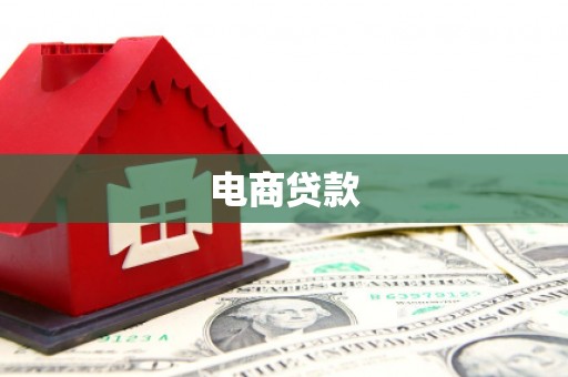 黔西电商贷款
