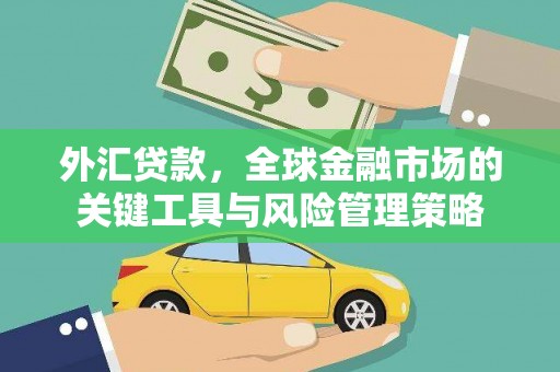 白玉外汇贷款，全球金融市场的关键工具与风险管理策略