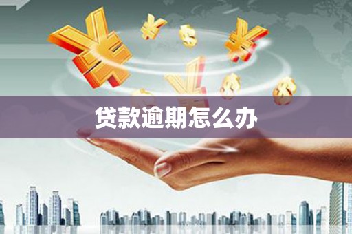 合作贷款逾期怎么办