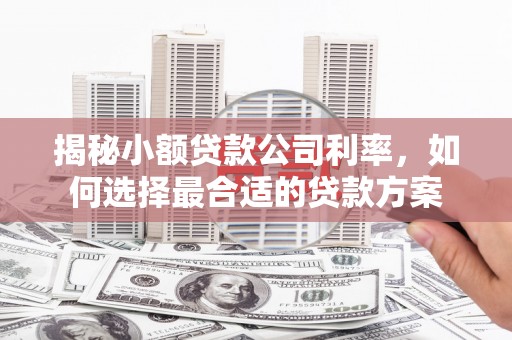 康马揭秘小额贷款公司利率，如何选择最合适的贷款方案