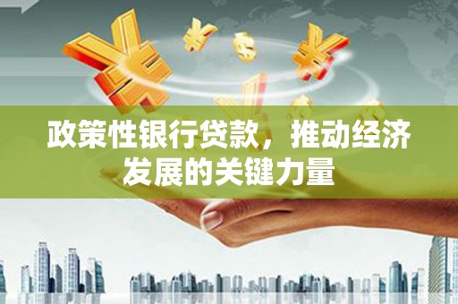 长白政策性银行贷款，推动经济发展的关键力量