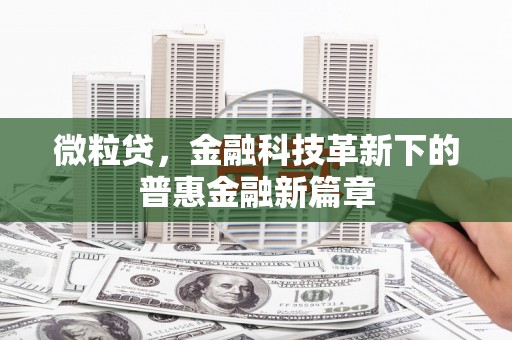 海晏微粒贷，金融科技革新下的普惠金融新篇章