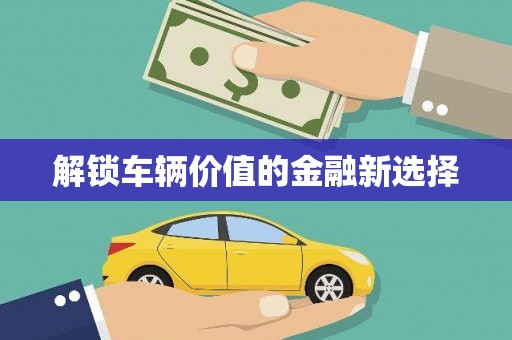 金乡解锁车辆价值的金融新选择
