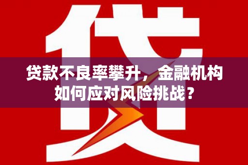 蜀山贷款不良率攀升，金融机构如何应对风险挑战？