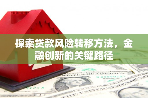 西盟探索贷款风险转移方法，金融创新的关键路径