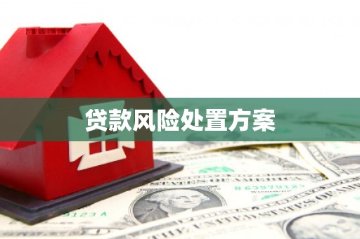 梓潼贷款风险处置方案